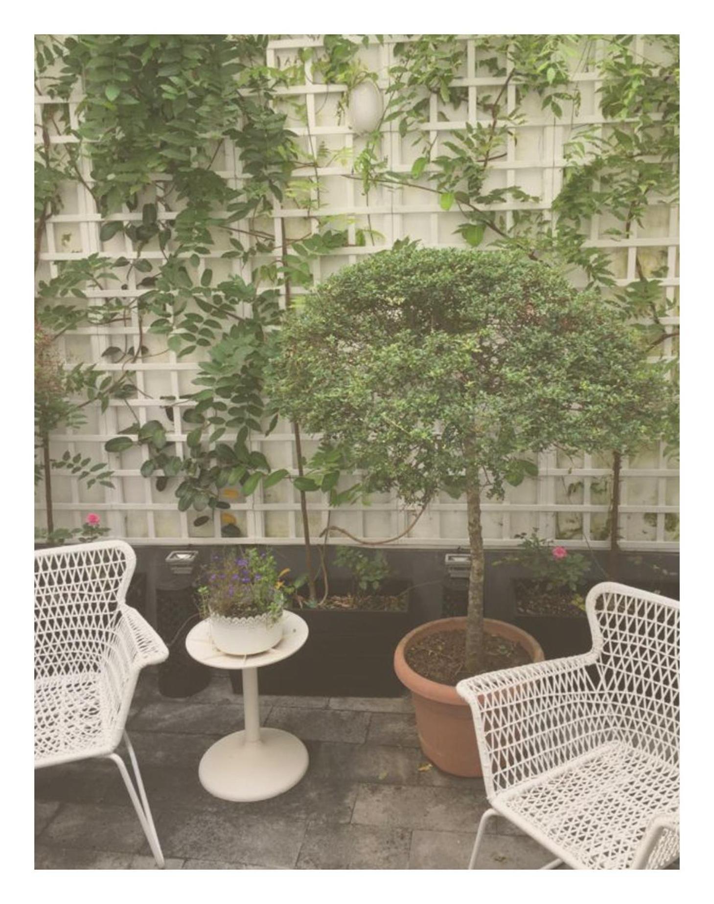 Casa Physalis Ponta Delgada
